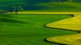 agriculture
